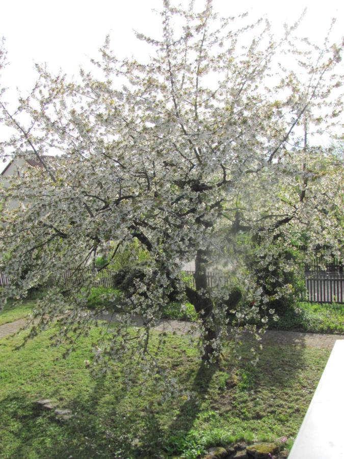 Hochwertiges Ferienhaus Im Romantischen Franken 科尔姆贝格 外观 照片